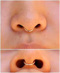Ich Bekomme Das Septum Piercing Einfach Nicht Ich Habe Buchstablich Noch Nie Gesehen Wie Es Auss Septum Piercing Jewelry Nose Piercing Jewelry Septum Jewelry