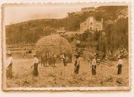 Can Baro Horta Guinardo La Barcelona D Abans D Avui I De Sempre 25 10 2014 Paperblog Fotos De Barcelona Barcelona Ciudad Fotos Antiguas