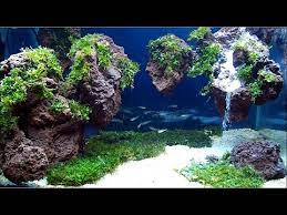 Red lava rock (stone) is very popular with aquascapers and the red lava stone is lava stone will make any tank and aquascape pop! Aquascape Waterfall With Lavarock And Moss Youtube