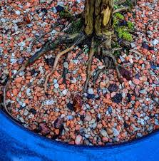 Looking for a good deal on bonsai soil? Bonsai Soil Principles Applied To Houseplants By Using A Mixture Of Akadama Fired Molar Clay Sphagnum Moss Pumice Stone Lava Rock And