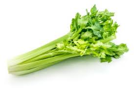 celery health benefits nutrition facts live science