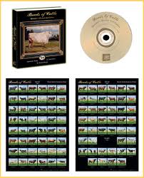 Breeds Of Cattle Educational Package