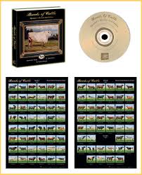 breeds of cattle educational package