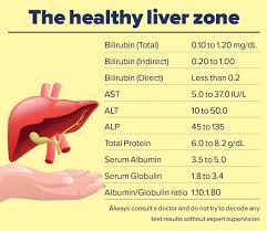 Image result for Liver Function Test Abnormality