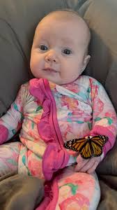 Did my last Transect