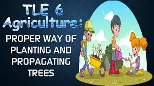 Tle 6 Ag Proper Way Of Planting And Propagating Trees In 2020 Propagation Video Lessons Proper