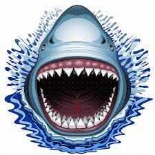 Free Free 182 Open Shark Mouth Svg SVG PNG EPS DXF File