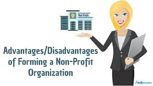 Advantages And Disadvantages Of Forming A Non Profit Organization Nonprofit Organization Non Profit Organization