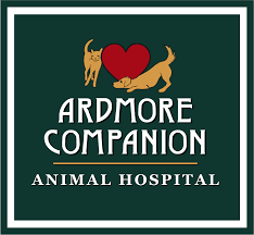 Companion is the home for veterinarians seeking to sell their practices while remaining engaged in clinical decision making and care delivery at their hospitals. Ardmore Companion Animal Hospital