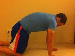 Cat and camel exercises are great for stretching and strengthening muscles of the back, especially the lower back. Thoracic Mobility And The Cat Camel Exercise Juggernaut Training Systems
