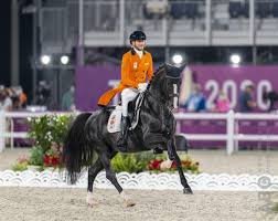 (totilas / desperados frh) and debut for just 9 yr old glock´s total us (totilas / sir donnerhall i), and what a debut! Ktvhz8f 175hhm