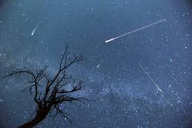Like who knows how many things these days, tarragon has been found to possibly have carcinogenic and/or mutagenic effects in the lab (animals). How To Watch The 2018 Perseid Meteor Shower Digital Trends