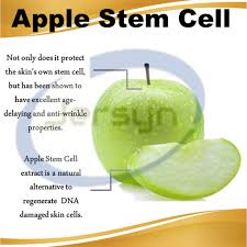 Apple stem cell extract (ongaro beauty's star ingredient) proliferates a wealth of human stem cells by an astounding 80%! Buy 1 Take 1 Promo Stem Cell Juice With Collagen And Apple Stem Cell Powdered Drink Mix Shopee Philippines