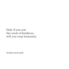 Follow Words Entwined On Instagram For Daily Poetry Poem Poetry Poems Quotes Love Lovequotes Writing Kind Short Poems Short Quotes Poems Deep