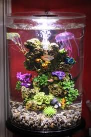 What are the best things to put in an aquarium? Top Fin Coral Plant Rocky Aquarium Ornament Fish Ornaments Petsmart