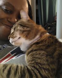 On May 31st our beautiful Leia Rose passed away unexpectedly. We found her  "sleeping" after our youngest sons high school graduation. We were  devastated. A few months later,