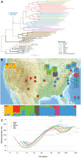 Claim your listing | testimonials. Genome Resequencing Reveals Rapid Repeated Evolution In The Colorado Potato Beetle Leptinotarsa Decemlineata Biorxiv