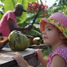 Travel Services in Jamaica