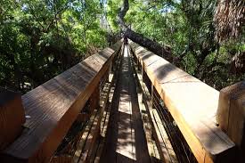 Tickets & tours‎ siesta key village: Myakka River Park Canopy Walk Florida S Gulf Coast Part 5 Deviating The Norm