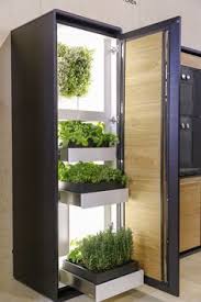 Home Tempo Da Delicadeza Hydrokultur Garten Diy Hydroponik Innengarten