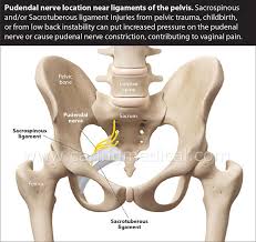 There were di erent shapes and dark black, lines of dark black and white lines together. Vaginal Pain From Pelvic And Spinal Ligament Injury Caring Medical Florida