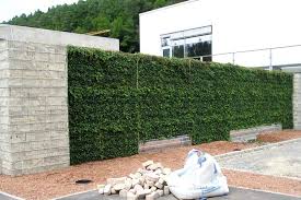 Helix Pflanzensysteme Larmschutzwand Garten Sichtschutz Garten Vorgarten