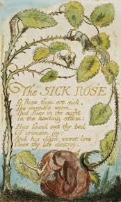 The Sick Rose From Songs Of Innocence William Blake As Art Print Or Hand Painted Oil William Blake Songs Of Innocence William Blake Poems