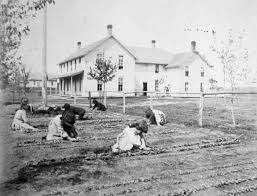 How do medications at boarding schools work? Children At An Native American Boarding School Work In A Garden Plot Mnopedia