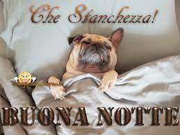 Immagini Gratis Buonanotte Che Stanchezza Da Condividere Buonanotte Buongiorno Divertente Buona Notte