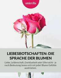 Check out inspiring examples of dankbarkeit artwork on deviantart, and get inspired by our community of talented artists. Versteckte Liebesbotschaften Die Sprache Der Blumen Sprache Der Blumen Liebe Blumen Bedeutung Von Blumen