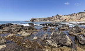 Best Tide Pools In Los Angeles California Beaches