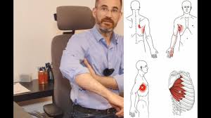 It can have many causes, ranging from a muscle strain to a having pain under or near your shoulder blade—the triangular bone that forms the back of your shoulder—may limit arm movements and interfere with. You Have Shoulder Blade Pain Armpit Pain Or Underarm Pain Check The Serratus Anterior Muscle Youtube