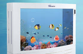 Acrylic aquarium are unique and they afford a wide variety of shape options and the strength one would expect in a product designed to last for decades. Acrylic Aquariums Glass Aquariums In Vancouver Bc Cleair Aquatics