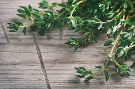 Cooking With Thyme: The Do's And Don'ts - Spiceography