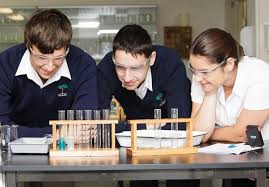 Maybe you would like to learn more about one of these? Georges River College Oatley Senior Campus Nsw De International Education