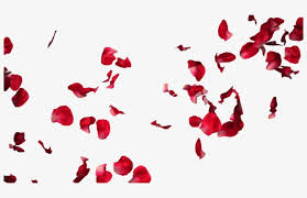 Falling Rose Petals Transparent Png Rose Petals For Photoshop Transparent Png Rose Petals Falling Red Rose Petals Petals