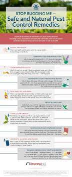 When you go outside, you can spray your clothes, your shoes and socks, and spray the area. Safe And Natural Pest Control Remedies Visual Ecogreenlove In 2021 Natural Pest Control Pest Control Natural Pesticides