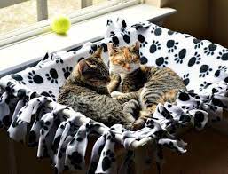 15 Easy And Simple Diy Pet Projects Diy Cat Hammock Pet Diy Projects Diy Hammock