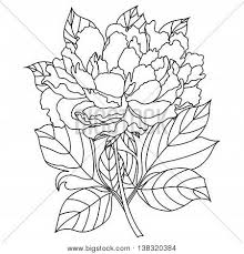 Scholastic goosebumps scarecrow coloring page. Vector Peony Coloring Vector Photo Free Trial Bigstock