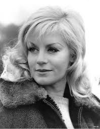 Eagles classic imagery by Dare and Hand