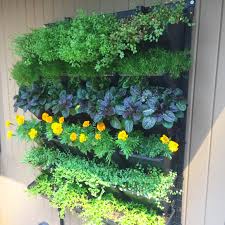 Livewall empowers building owners, contractors, and design professionals to grow healthy exterior living walls. Vgp Living Wall By Tournesol Siteworks See More Here Http Www Tournesolsiteworks Com Product Vgp Tr Living Wall Planter Wall Planters Outdoor Wall Planter