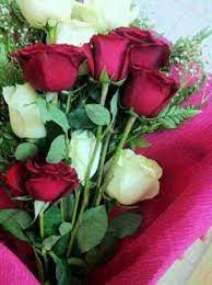 صور ورود 2020 اجمل صور زهور احلى صور ورود جميلة زينه flower images rose flowers