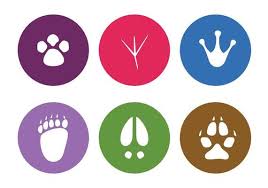 Tierspuren spuren abdruck schnee sand spur winter fußspuren fußabdruck tierspur. Carbon Footprint Icons 14 Free Carbon Footprint Icons Download Png Svg