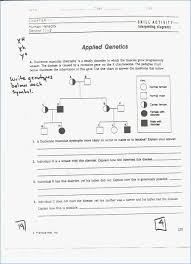 Pedigree Charts Worksheet Worksheet Fun And Printable