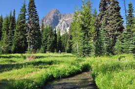 Maybe you would like to learn more about one of these? Canyon Creek Meadows 8 3 2013 Oregon Hikers