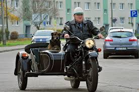 Monstermutter morgen um 20:15 uhr im ersten: Polizeiruf 110 Ikarus Tatort Fans