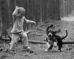 Dancing Together Evcil Hayvanlar Hayvan Cok Sirin Hayvanlar