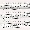 Melodies can be broken down to smaller ideas called motifs. 1