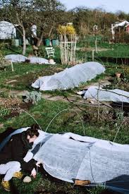 Winterschutz Mit Vlies Und Folie Im Blumengarten In 2020 Gartenvlies Blumengarten Blumensorten