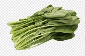 Sandwich selada bungkus iceberg selada, selada, bok choy, daun sayuran, makanan png. Makanan Sayur Bayam Kubis Cina Mentimun Sayuran Daun Sayur Makanan Png Pngegg